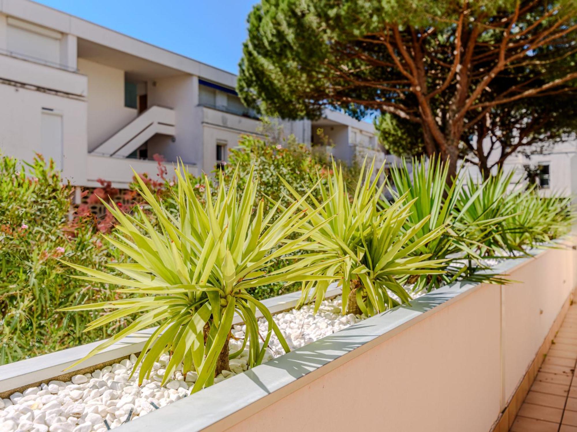 Apartment Antinea-4 By Interhome Λα Γκραντ-Μοτ Εξωτερικό φωτογραφία