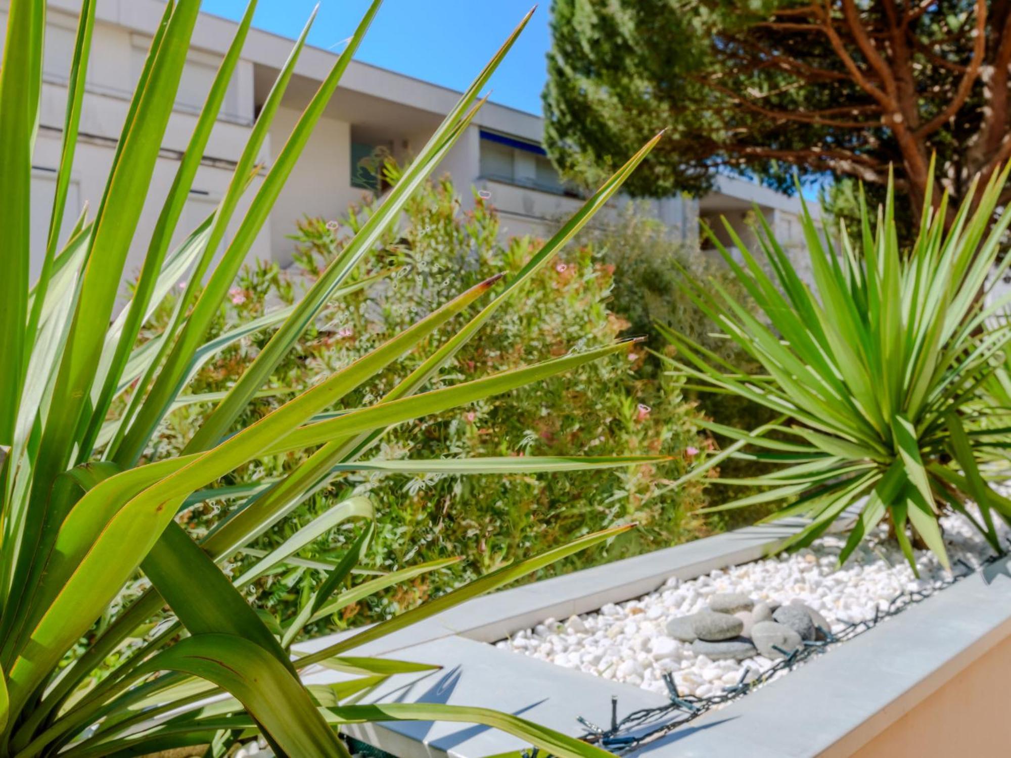 Apartment Antinea-4 By Interhome Λα Γκραντ-Μοτ Εξωτερικό φωτογραφία